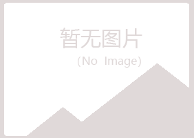 泰山区涟漪能源有限公司